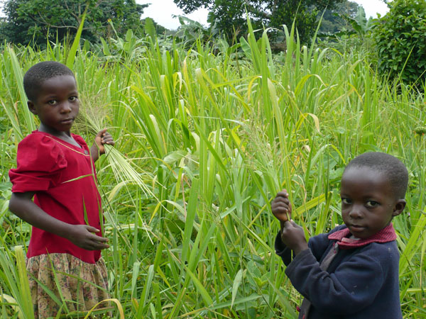 Children in the Field, Uganda © GoErinGo