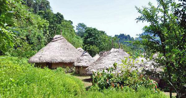 Kogi Village
