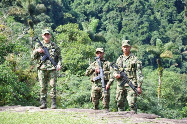 Protectors in Jungle